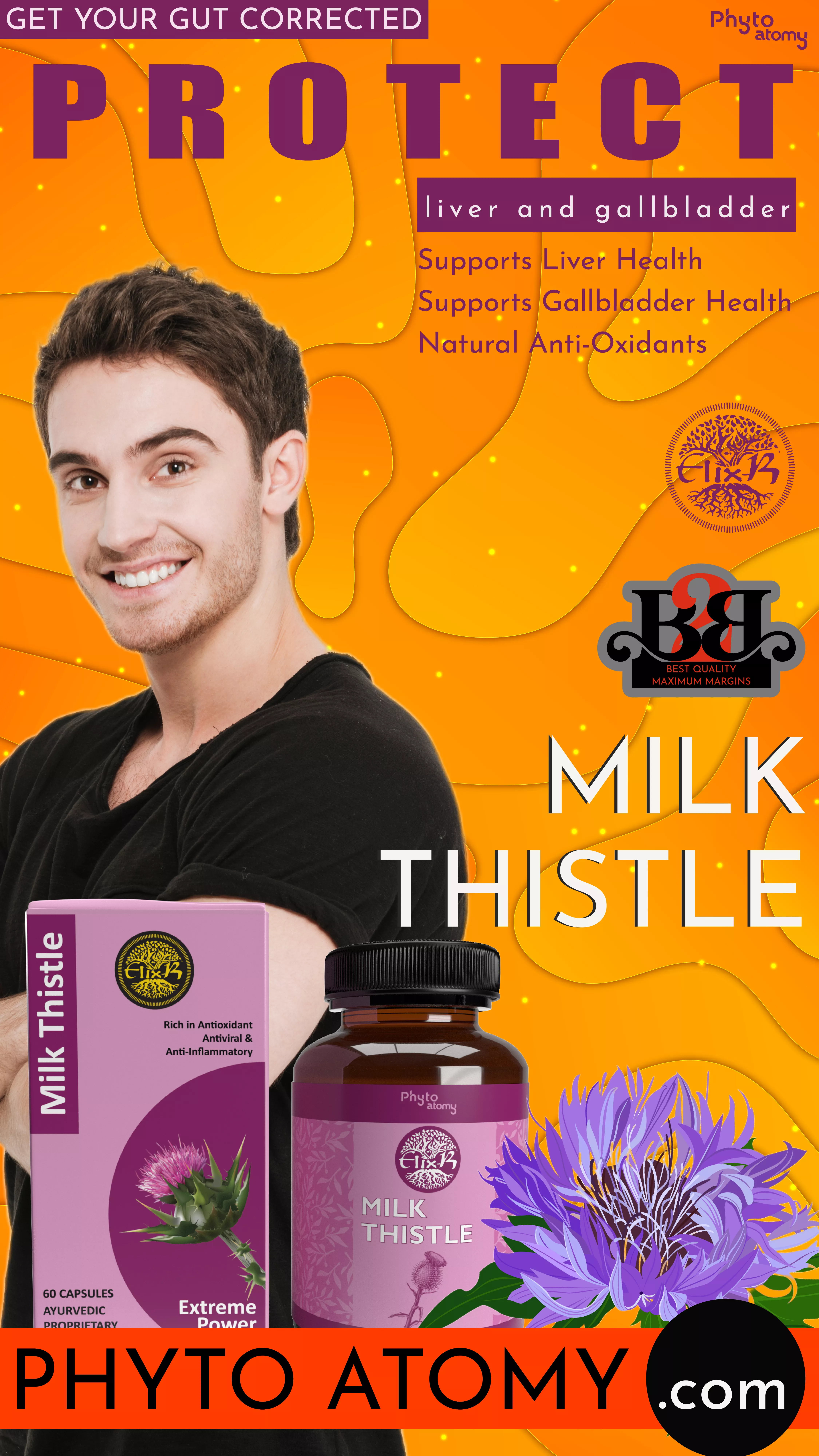 RBV B2B Milk  Thistle (60 Capsule)-6 Pcs.